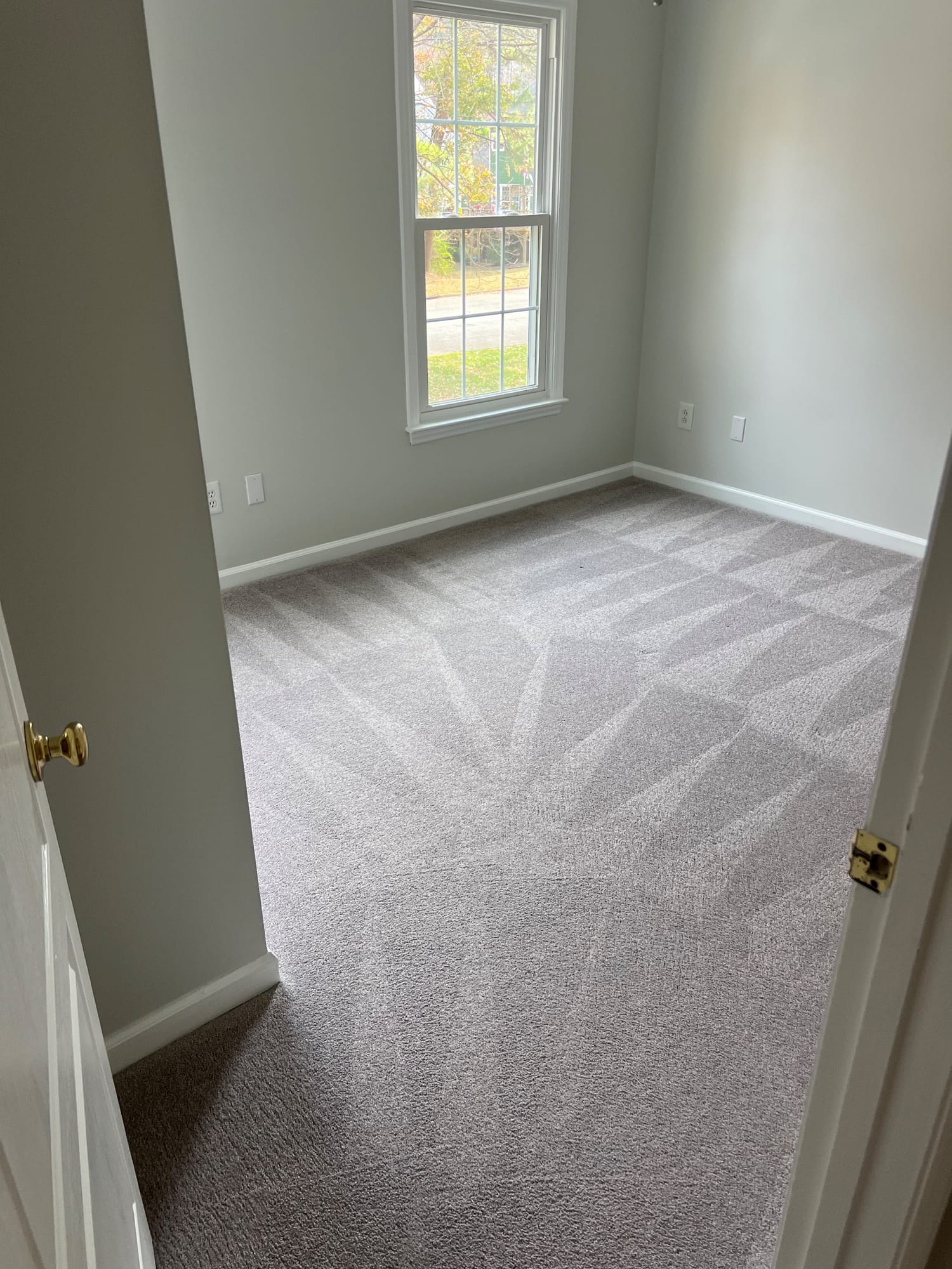 Carpet Cleaning
